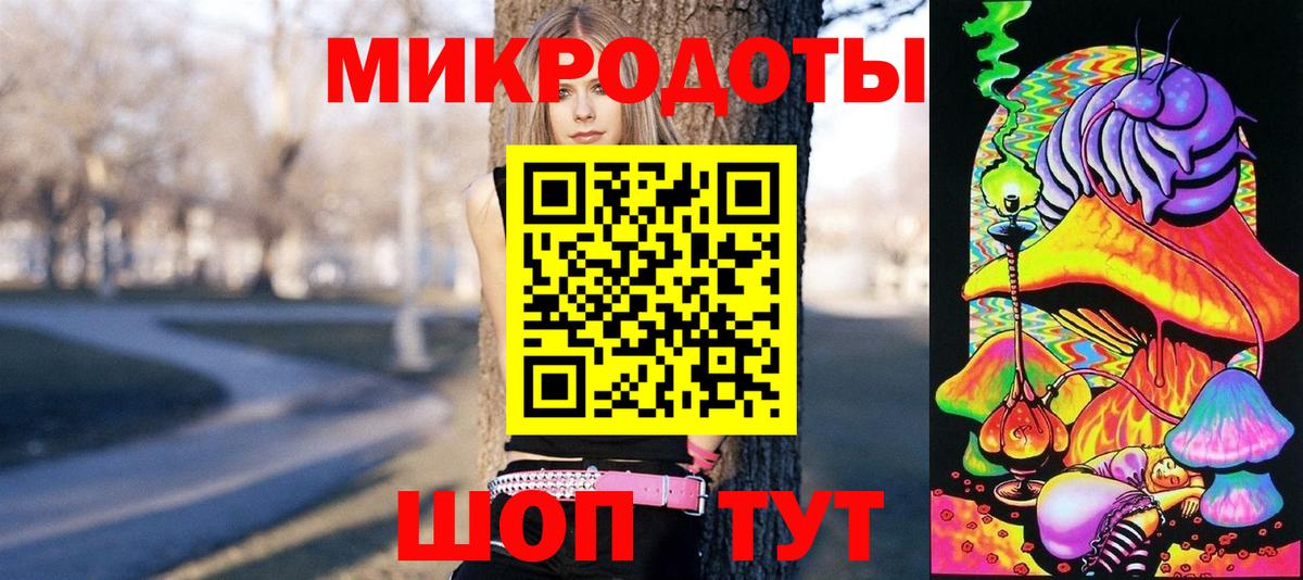 Галлюциногенные грибы Psilocybe  Азнакаево 