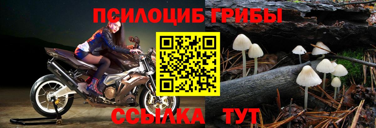 как найти закладки  Галлюциногенные грибы MAGIC MUSHROOMS  Вход с VPN  Азнакаево 