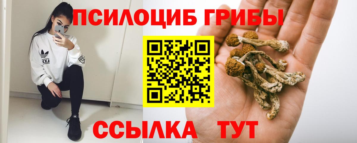 Псилоцибиновые грибы Psilocybine cubensis Азнакаево